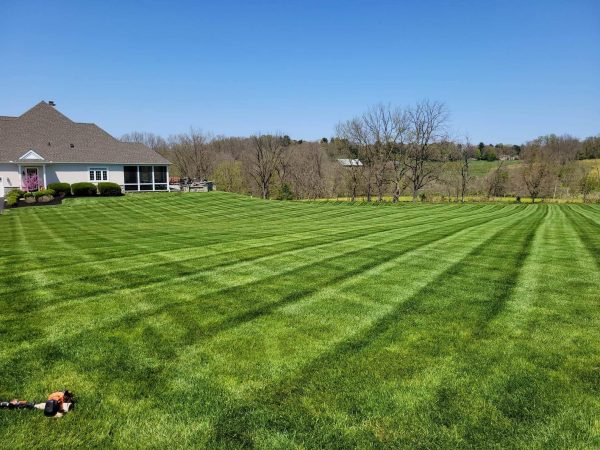 backyard mowing checkered pattern