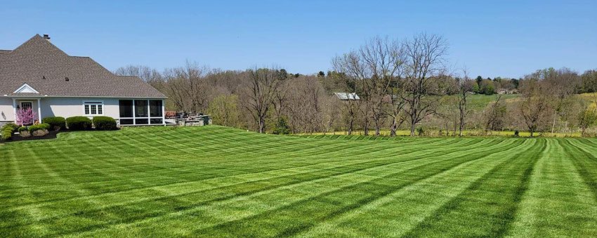 Checker board striped lawn with a house in the distance