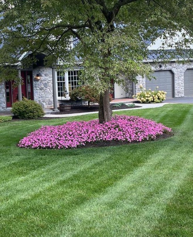 front yard lancaster landscaping